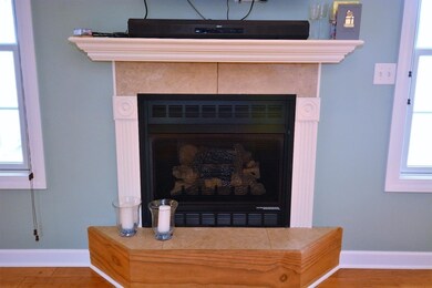 Living Room Fireplace- Gas and Ventless