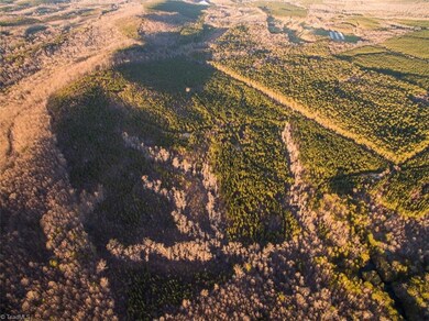 00 Buchanan Dr, Star, NC 27356 - photo 5