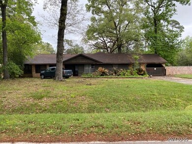 2119 Old ox Rd, Spring, TX 77386 - photo 2