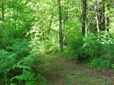 0 Reese Hill Rd unit 637157, Sumas, WA 98295 - photo 3