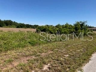 1712 Jackson Ave, Lehigh Acres, FL 33972 - photo 5