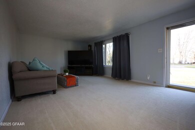 611 1st Ave, Reynolds, ND 58275 - photo 4