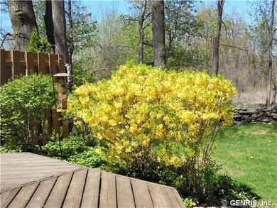 Yard/Garden