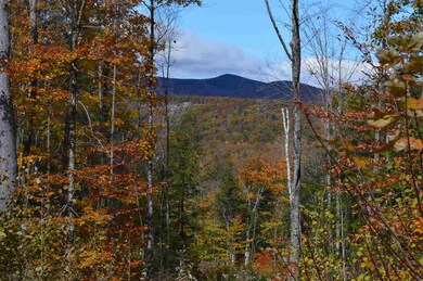 1 Durgin Rd, Tuftonboro, NH 03816 - photo 3