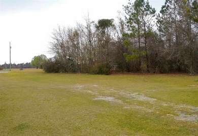 1624 Hewitt Rd, Loris, SC 29569 - photo 5