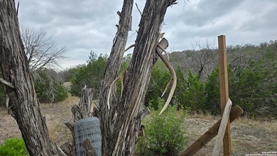 02 Newby Hills Ranch, Rocksprings, TX 78132 - photo 6