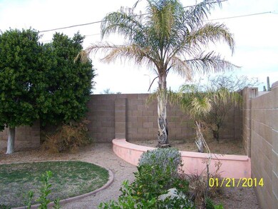 Back Yard 2