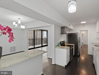 Skyline Square North and South unit 1904, Falls Church, VA 22041 - photo 3