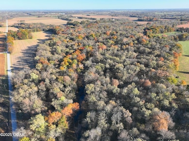 000 Pine Rd, Carthage, MO 64836 - photo 4