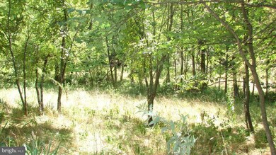 0 Rock Gap Rd unit 1004526460, Berkeley Springs, WV 25411 - photo 4