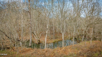 987 Highway 81 S, Jonesborough, TN 37659 - photo 2