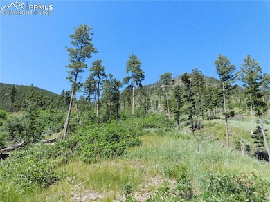 8249 Yuma Cir, Larkspur, CO 80118 - photo 7