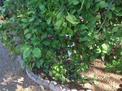 4534 E Catalina Ave, Mesa, AZ 85206 - photo 7