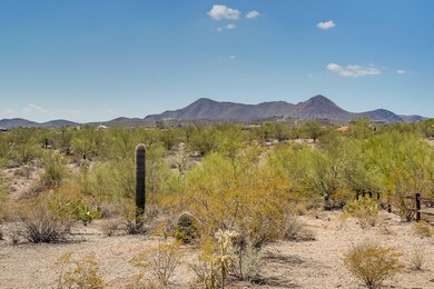 N Crooked Trail_5