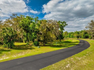 Lot 59
