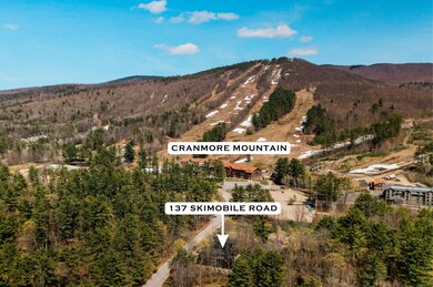 137 Skimobile Rd unit 2, North Conway, NH 03860 - photo 2