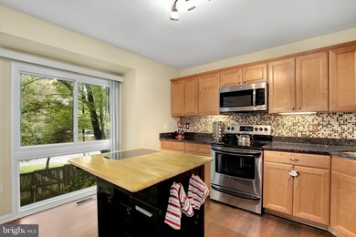 3004 Sugar Ln, Vienna, VA 22181 - photo 6