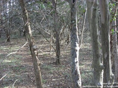 9030 Saddle Trail, San Antonio, TX 78255 - photo 4