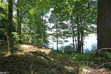 0 Clingan Rd unit 4461196, Youngstown, OH 44514 - photo 2