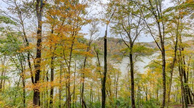 2906 W Gallaher Ferry Rd, Knoxville, TN 37932 - photo 5