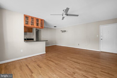 111 Lee Ave unit 403, Takoma Park, MD 20912 - photo 5
