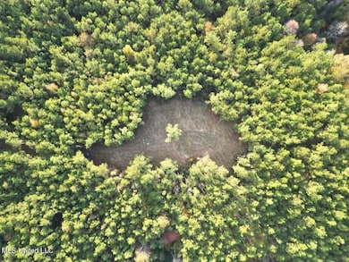 1 N Will Floyd Rd, Crosby, MS 39633 - photo 2