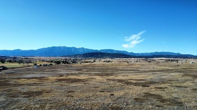 1229 Little Snake Dr, Colorado City, CO 81004 - photo 3