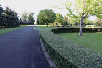 Driveway/Yard