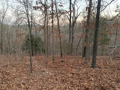 1 Winsford Ln, Bella Vista, AR 72714 - photo 5