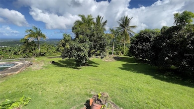 960 km 3.2 Lot A Bo Guzman Arriba, Rio Grande, PR 00745 - photo 6