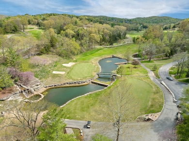 217 Baldknobber Dr unit 30, Branson West, MO 65737 - photo 4