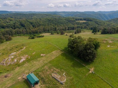 49 Pinnacle Ln, Meadows of Dan, VA 24120 - photo 7