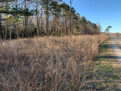 00 White Point Rd, Kinsale, VA 22488 - photo 6