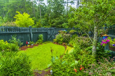 Beautiful Backyard