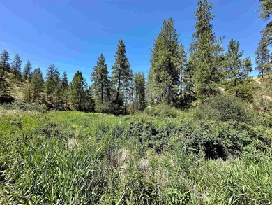 25656 Pine Cone Ct E, Lincoln, WA 99147 - photo 5