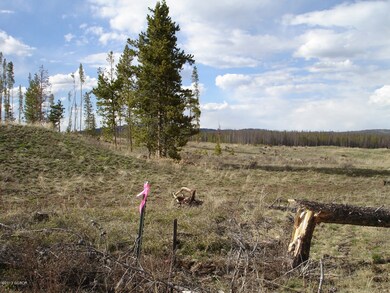 Lot 41