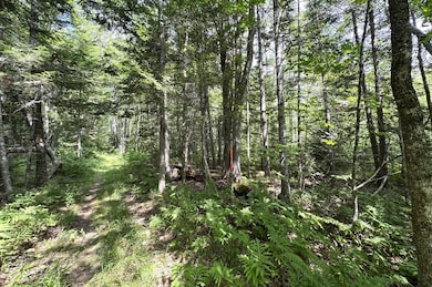 00 Thurlow Rd, Lincolnville, ME 04849 - photo 4