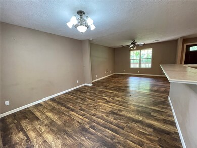 6415 Cuarto St, Brazoria, TX 77422 - photo 6