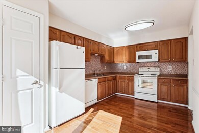 8113 Squirrel Run Rd, Springfield, VA 22152 - photo 6