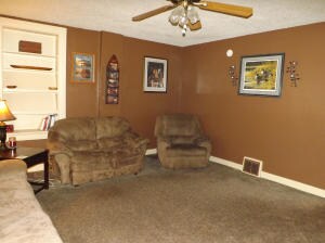 Living Room View I