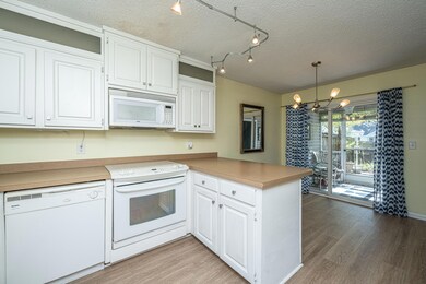 16RudwickCir17