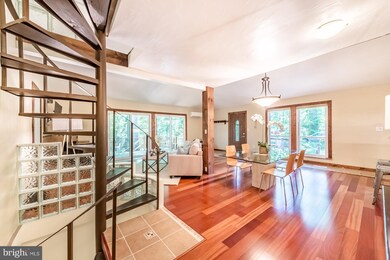 11 Jefferson Ave, Takoma Park, MD 20912 - photo 5