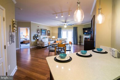 24636 Woolly Mammoth Terrace unit 200, Aldie, VA 20105 - photo 6