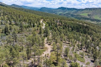 2511 Taylor Ranch Rd, Durango, CO 81301 - photo 2