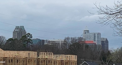 708 Mcmakin St, Raleigh, NC 27610 - photo 4