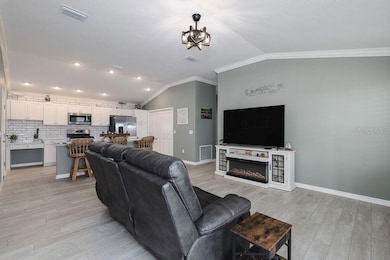 1794 Brody Ct, Wildwood, FL 33585 - photo 4