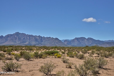 From NE Corner Across Property