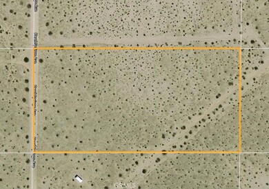 5000 Pearl Springs Ave, Twentynine Palms, CA 92277 - photo 5