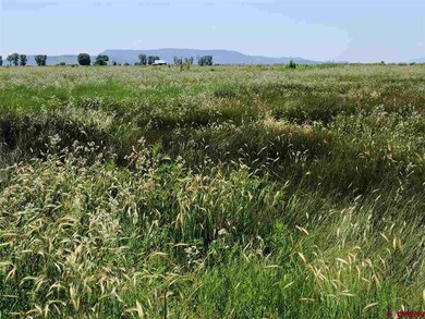 TBD Rd Road 112 S, Alamosa, CO 81101 - photo 7