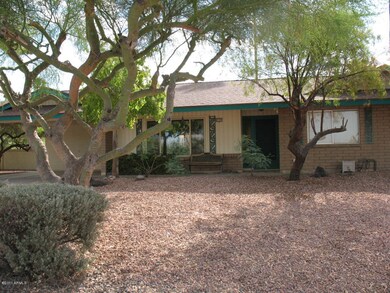 Front yard